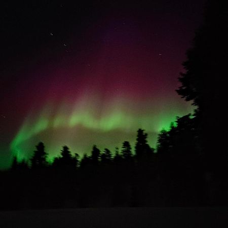 Isokelo Log Apartments Salla Eksteriør bilde